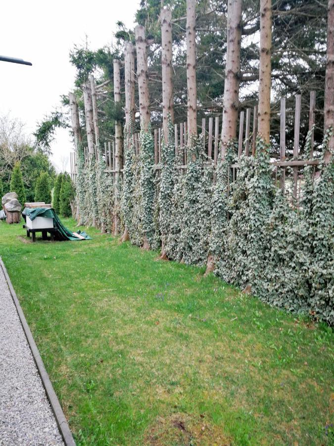 Muensing Naehe Starnberger See, Schoene Ferienwohnung, Gaestewohnung 125Qm Eg Und Og Kontaktfrei Экстерьер фото